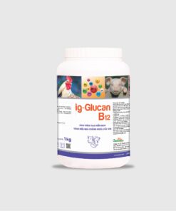 Ig Glucan B12